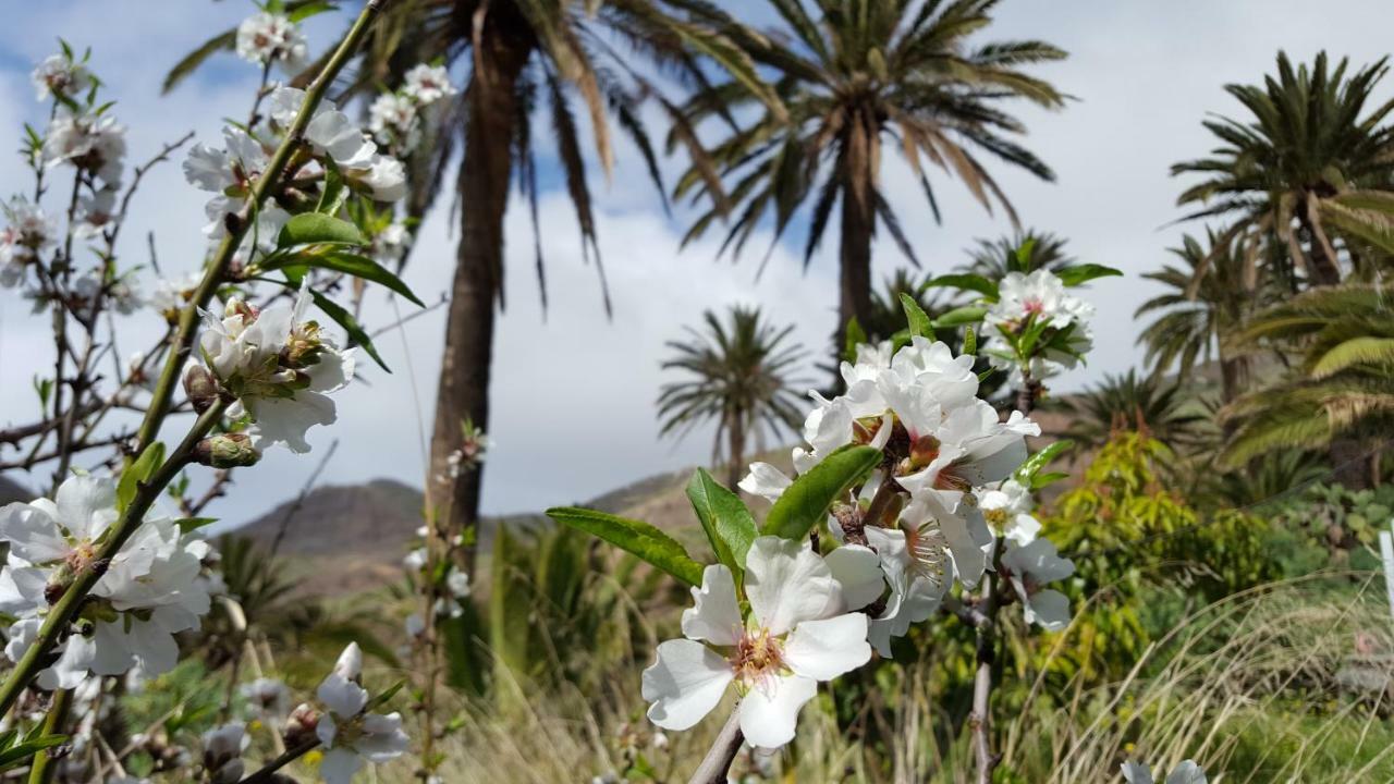 וייהרמוסו El Pirguan Holiday House, Your Oasis In La Gomera מראה חיצוני תמונה