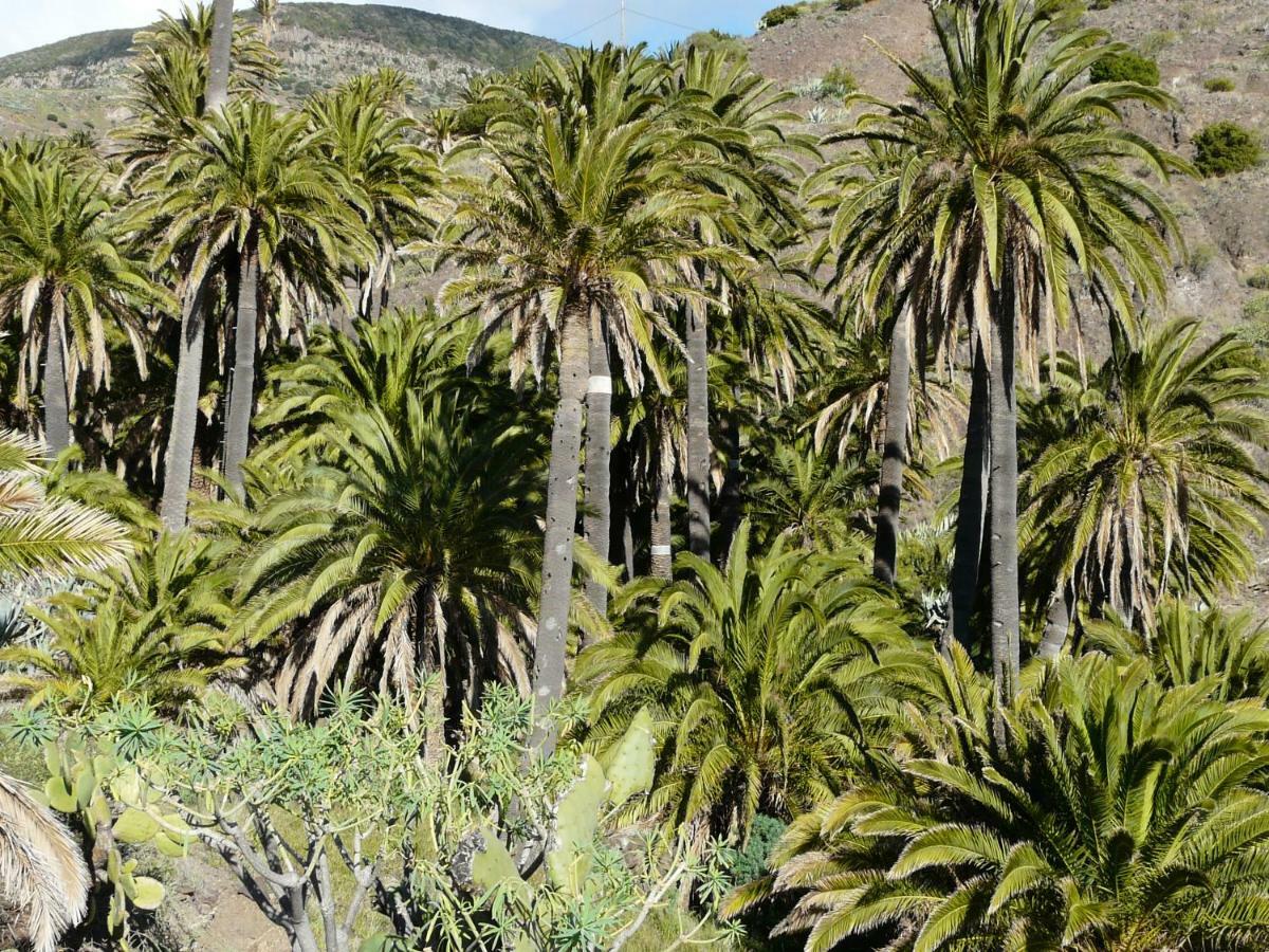 וייהרמוסו El Pirguan Holiday House, Your Oasis In La Gomera מראה חיצוני תמונה