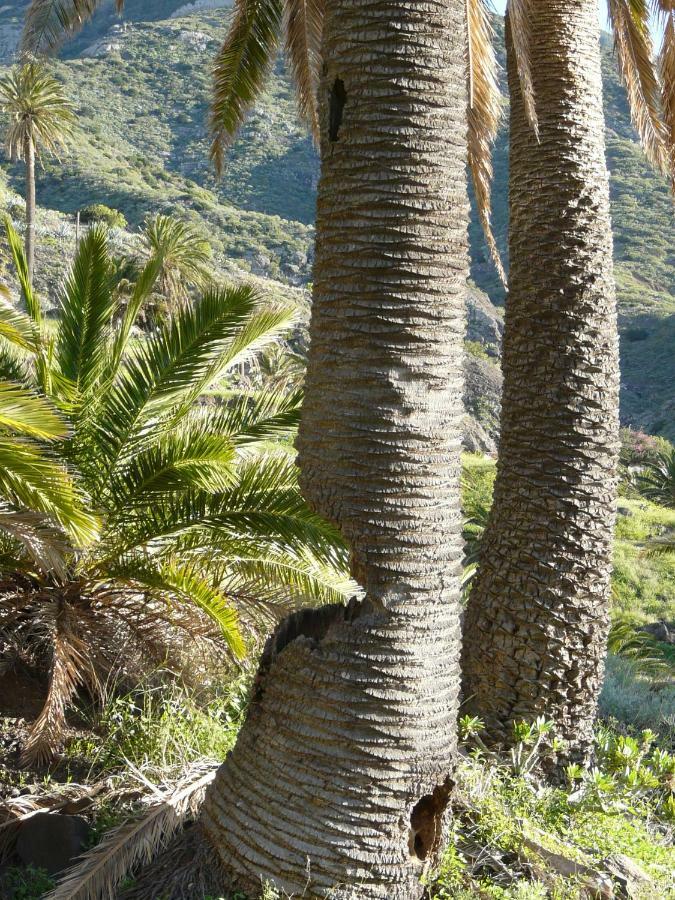 וייהרמוסו El Pirguan Holiday House, Your Oasis In La Gomera מראה חיצוני תמונה