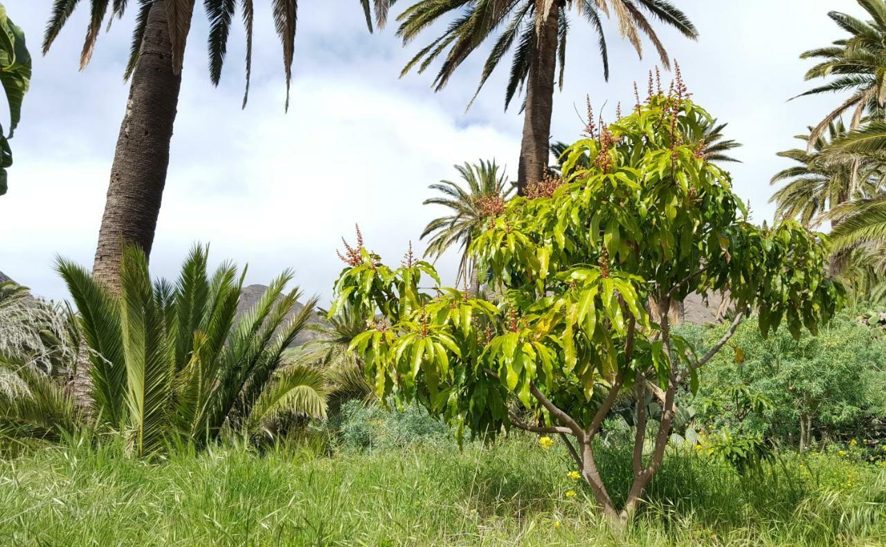 וייהרמוסו El Pirguan Holiday House, Your Oasis In La Gomera מראה חיצוני תמונה